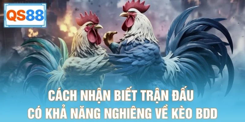Cách nhận biết trận đấu có khả năng nghiêng về kèo BDD QS88