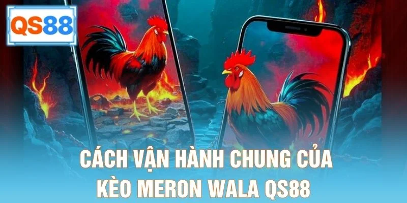 Cách vận hành chung của kèo Meron Wala QS88