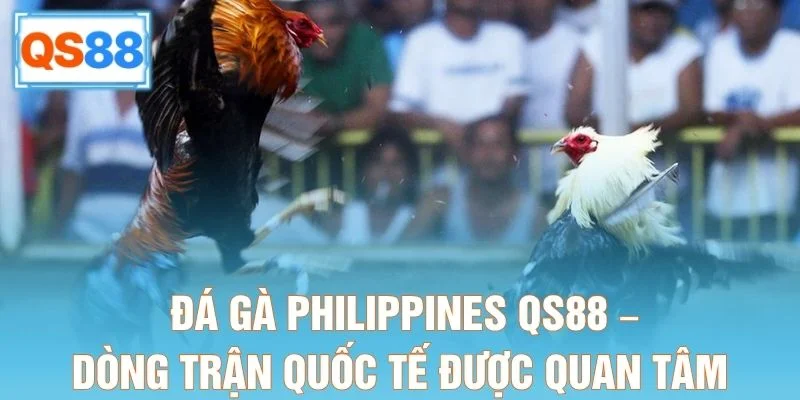 Đá Gà Philippines QS88 – Dòng Trận Quốc Tế Được Quan Tâm