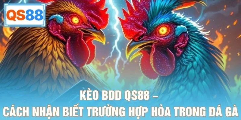 Kèo BDD QS88 – Cách Nhận Biết Trường Hợp Hòa Trong Đá Gà