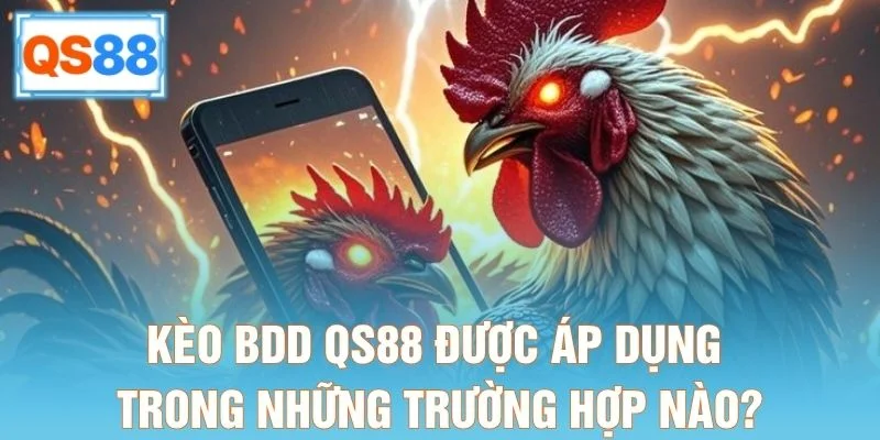 Kèo BDD QS88 được áp dụng trong những trường hợp nào?