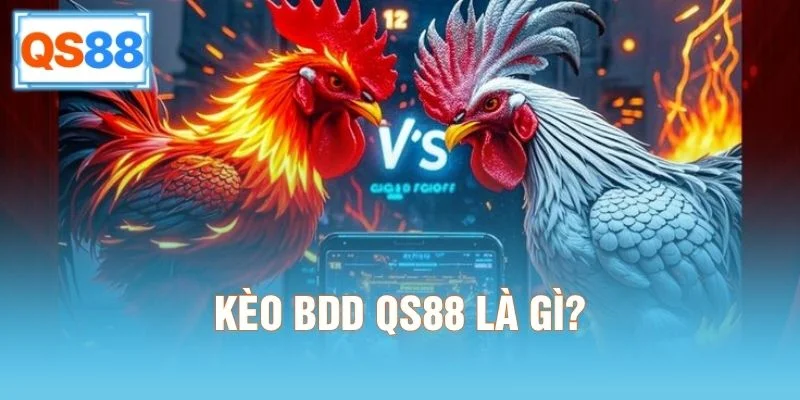 Kèo BDD QS88 là gì?