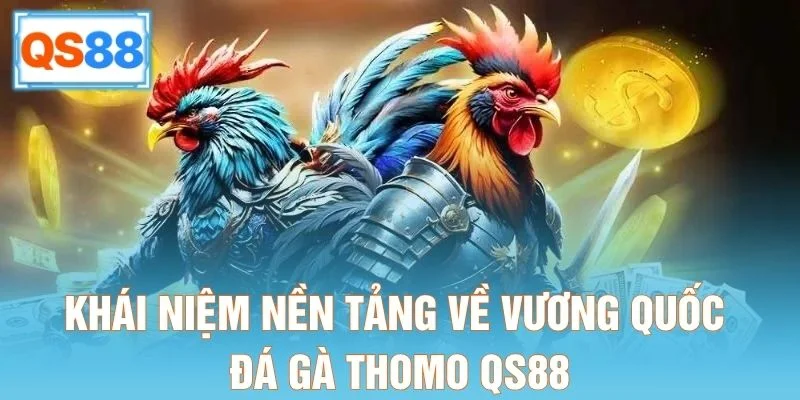 Khái niệm nền tảng về vương quốc đá gà Thomo QS88