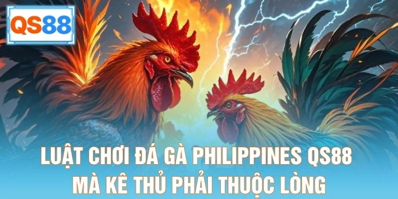 Luật chơi đá gà Philippines QS88 mà kê thủ phải thuộc lòng