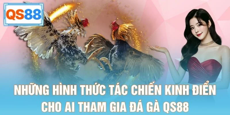 Những hình thức tác chiến kinh điển cho ai tham gia đá gà QS88
