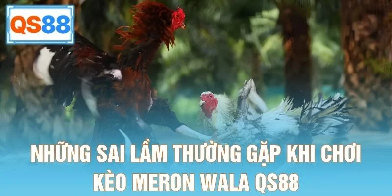 Những sai lầm thường gặp khi chơi kèo Meron Wala QS88