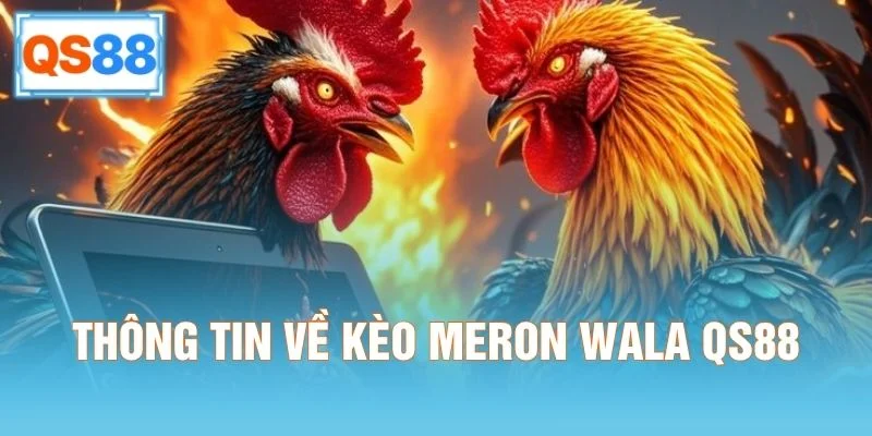 Thông tin về kèo Meron Wala QS88