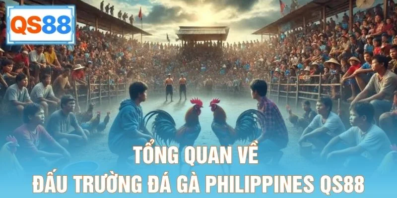 Tổng quan về đấu trường đá gà Philippines QS88