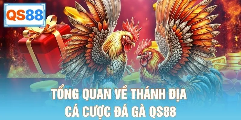 Tổng quan về thánh địa cá cược đá gà QS88